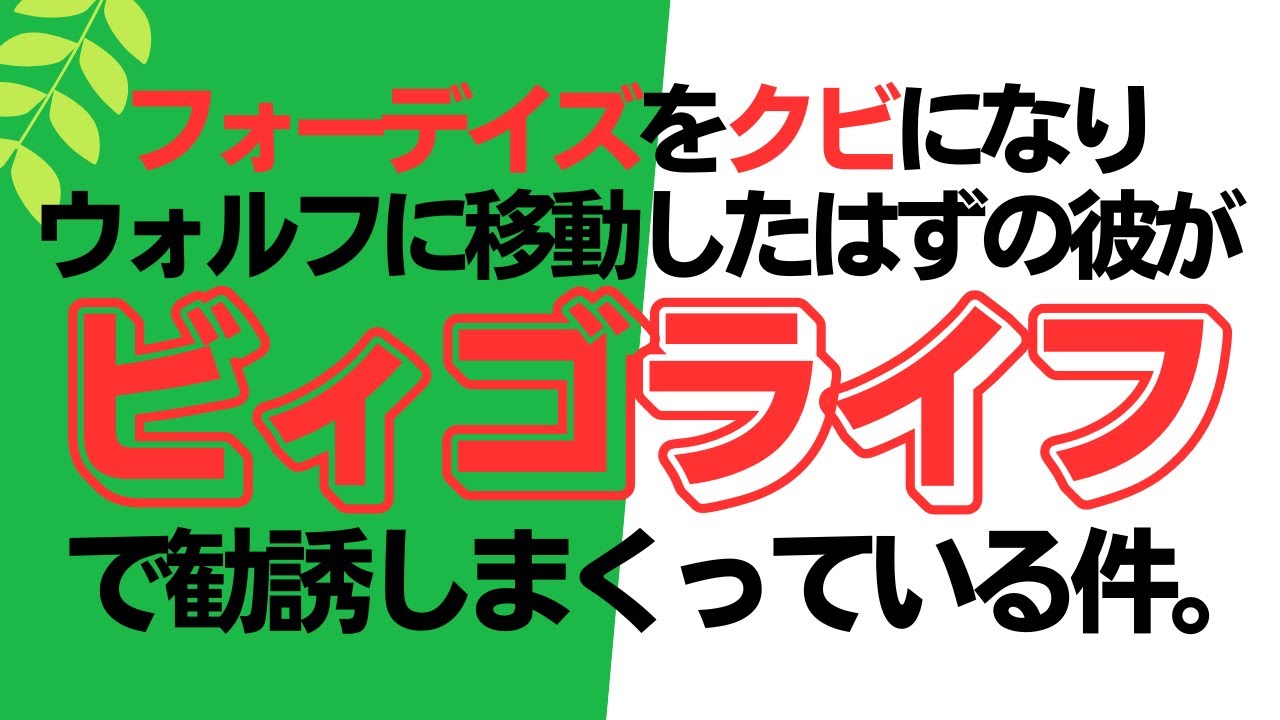 ビィゴライフの評判・報酬プランは？勧誘者Tの実体も暴露！