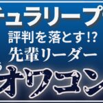 ナチュラリープラスのリーダー達のやばい言動とは？実際の相談から解説！