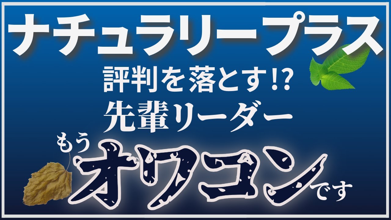 【暴露】ナチュラリープラスのヤバすぎる実態とリーダーの問題行動